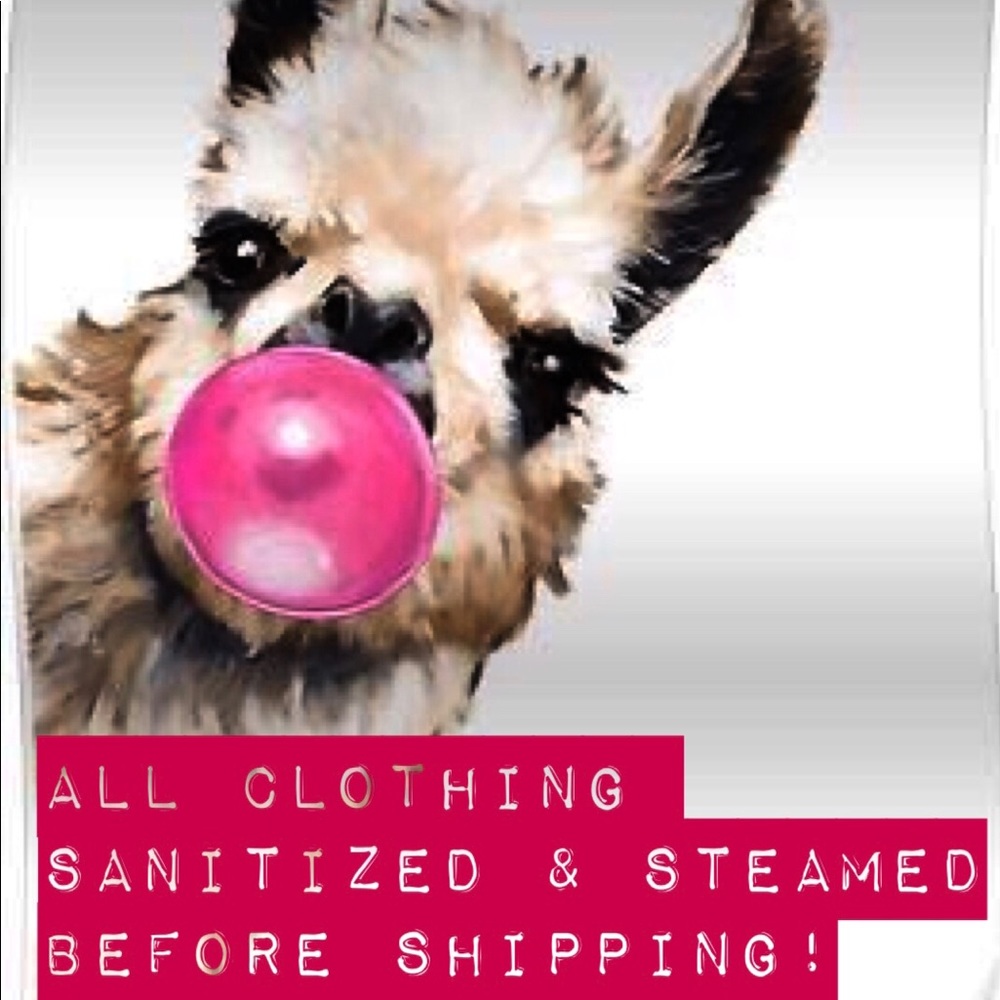 All Clothing Sanitized and Steamed